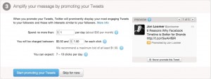 twitterads2 300x112 twitter promoted account