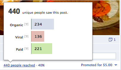 Facebook-promoted-post Facebook Promoted Post