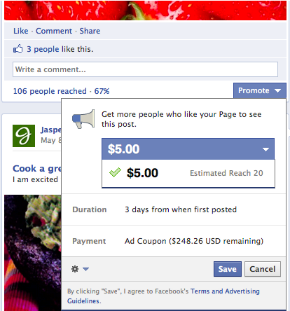 Facebook-Promoted-Post-1 Facebook Promoted Post