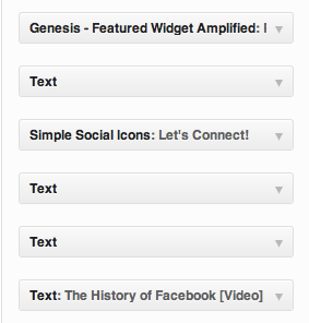 text-wordpress-widgets Text WordPress Widgets
