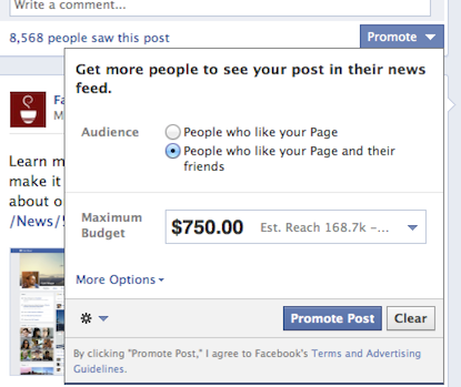 Facebook Promoted Posts Fans or Friends of Fans