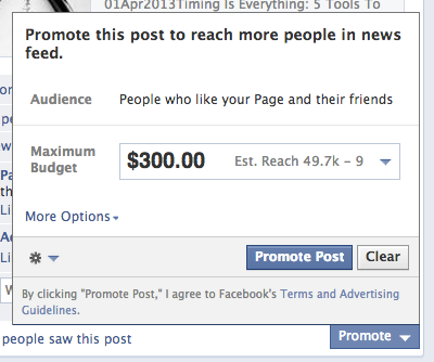 Mari Smith Facebook Promoted Post Fans plus Friends of Fans