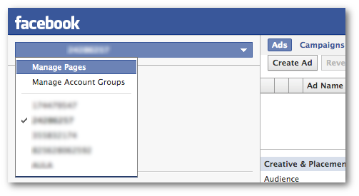 Facebook Power Editor Manage Pages