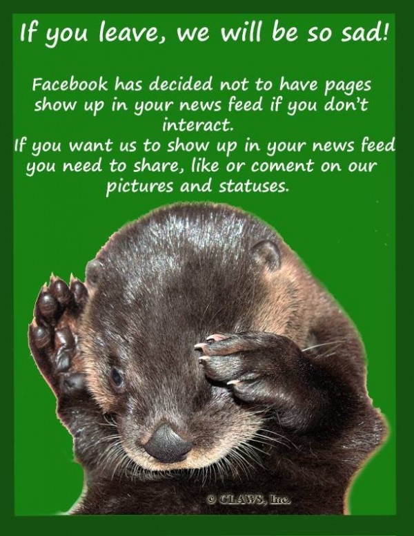 Facebook News Feed EdgeRank Interact