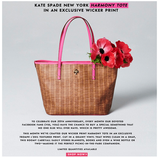 Kate Space Exclusive Offer