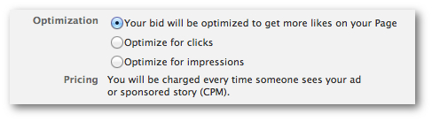 Facebook Self-Serve Ad Tool Bidding