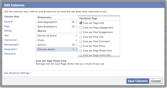 Facebook Ad Reports Cost Per Action