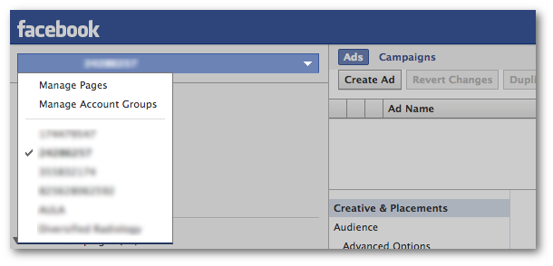 Facebook Power Editor Ad Accounts