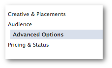 Facebook Power Editor Advanced options
