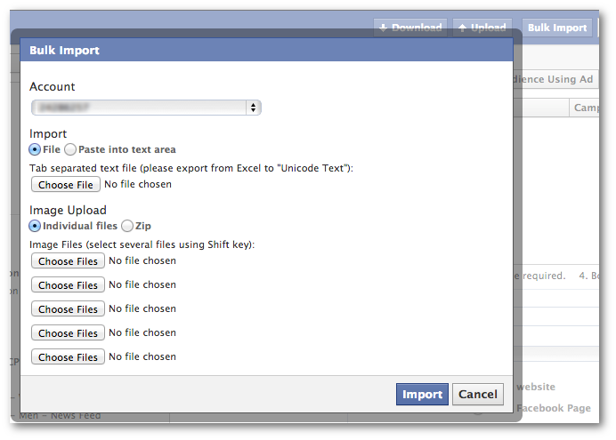 Facebook Power Editor Bulk Import