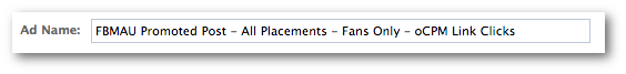 Facebook Power Editor Name Ad
