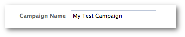 Facebook Power Editor Name Campaign