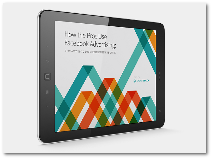 How the Pros Use Facebook Advertising