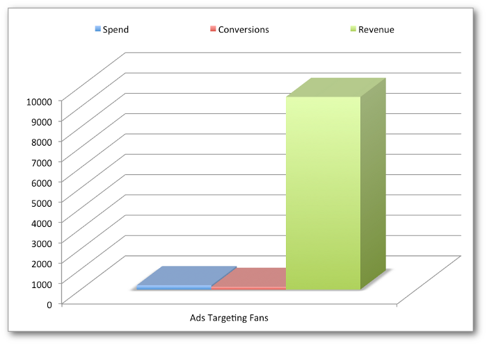 Facebook Ads ROI Fans