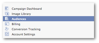 Facebook Power Editor Audiences