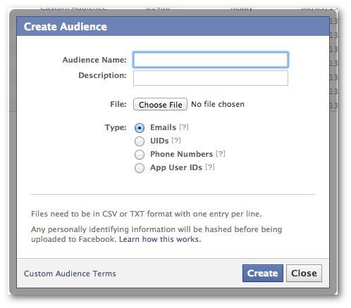 Facebook Power Editor Create Audience Name