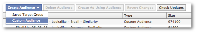 Facebook Power Editor Create Audience