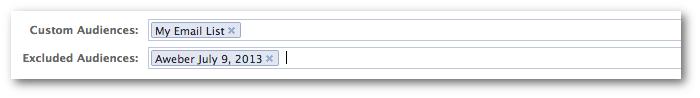 Facebook Power Editor Custom Audience Exclude