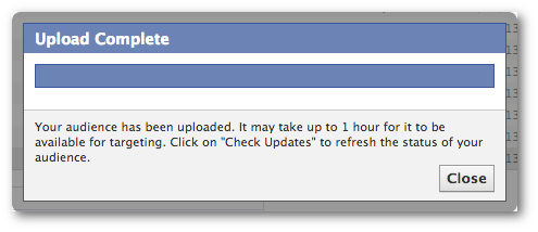 Facebook Power Editor Custom Audiences Wait 1 Hour