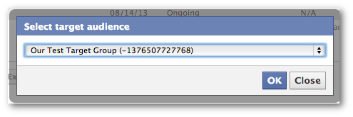Facebook Power Editor Select Saved Target Group