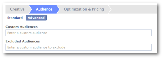 Facebook Power Editor Enter Custom Audience