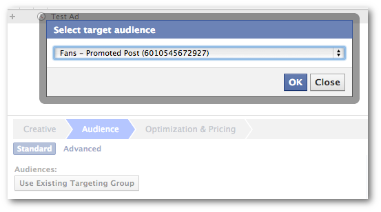 Facebook Power Editor Use Existing Targeting Group