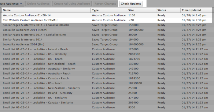 Facebook Website Custom Audience List in Power Editor