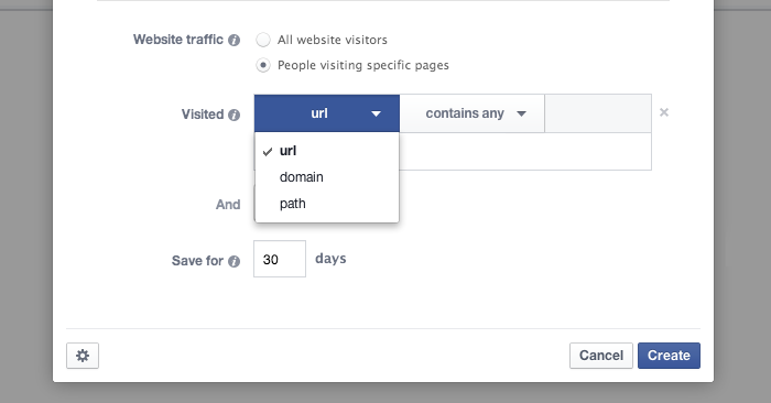 Facebook Website Custom Audience URL Domain Path