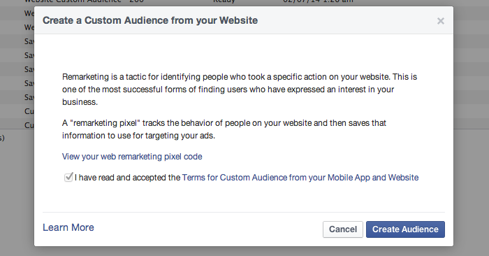 Facebook Website Custom Audiences Step 3