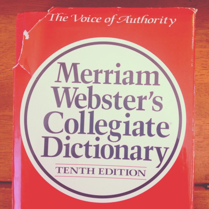 Miriam Webster's Dictionary