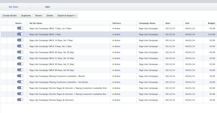 Facebook Ad Sets Example