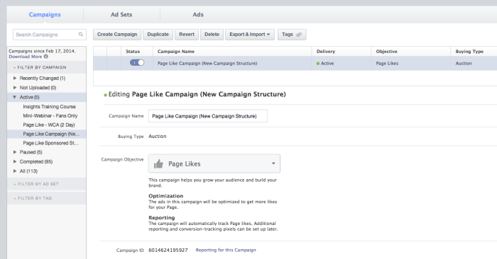 Facebook Campaign Example