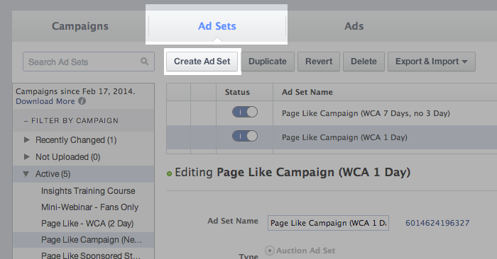 Facebook Campaign Structure Create Ad Set