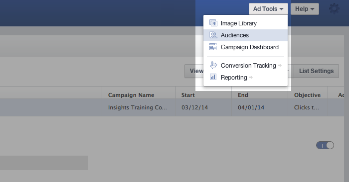 Facebook Power Editor Ad Tools Audiences