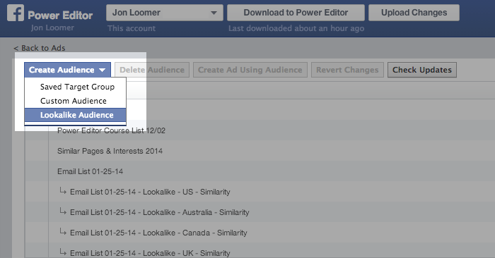 Facebook Power Editor Create Audience Lookalike