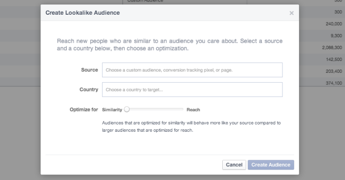 Facebook Power Editor Create Lookalike Audience