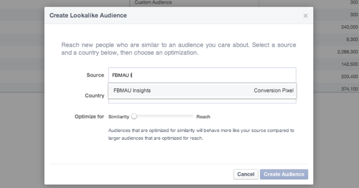 Facebook Power Editor Create Lookalike Audience Conversion Pixel