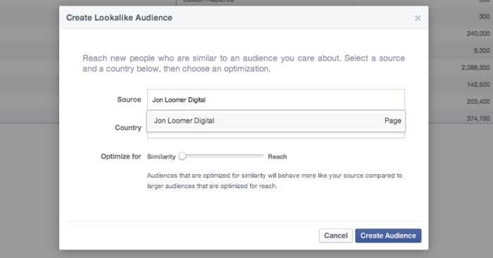 Facebook Power Editor Create Lookalike Audience Page