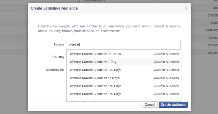 Facebook Power Editor Create Lookalike Audience WCA