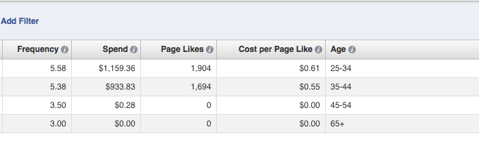 Facebook Ad Reports Edit Columns Age