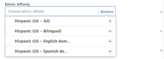 Facebook Core Audiences More Demographics: Ethnic Affinity