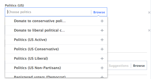 Facebook Core Audiences More Demographics: Politics