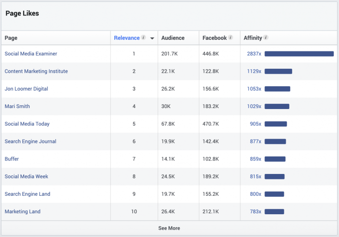 Facebook Audience Insights