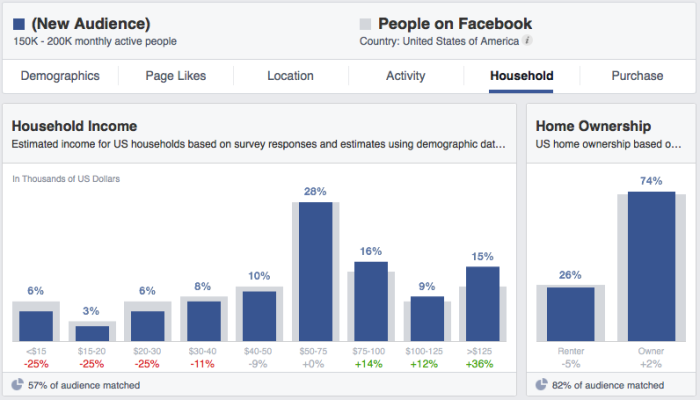 Facebook Audience Insights Household Income Ownership