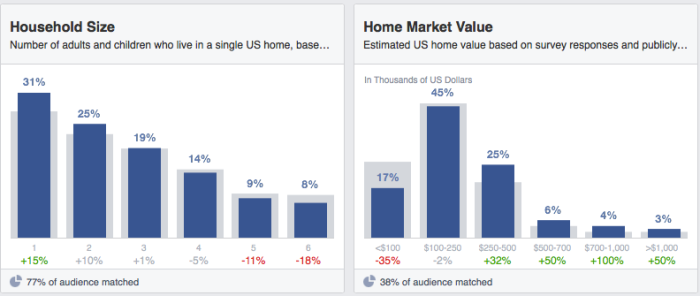 Facebook Audience Insights Household Size Home Market Value