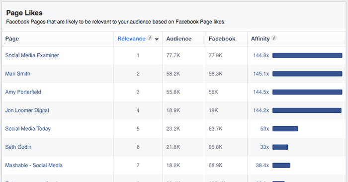 Facebook Audience Insights Page Likes