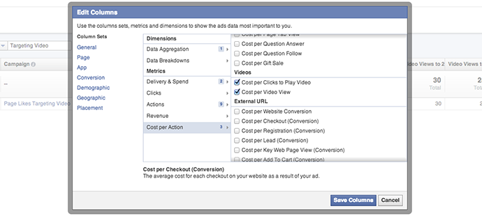 Facebook Ad Reports Cost Per Action Video