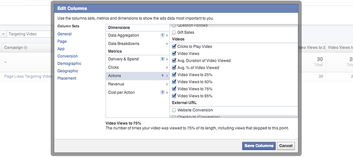 Facebook Ad Reports Video Actions