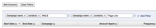 Facebook Ad Reports Add Filter