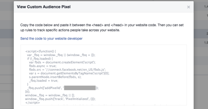 Facebook Website Custom Audience Pixel